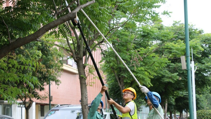 Each student had an opportunity to prune a tree in the programme.